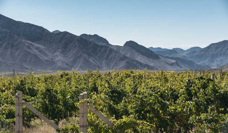 terroir armenia